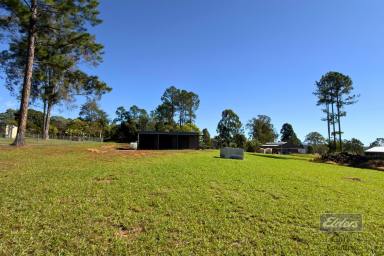 Residential Block For Sale - QLD - Glenwood - 4570 - ROOM FOR THE BIG IDEAS  (Image 2)