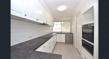 Villa For Lease - VIC - Mordialloc - 3195 - Fresh, Light-Filled Living in the Heart of Mordialloc  (Image 2)