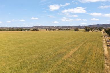 Lifestyle For Sale - NSW - Mudgee - 2850 - "KILMARNOCK"  (Image 2)