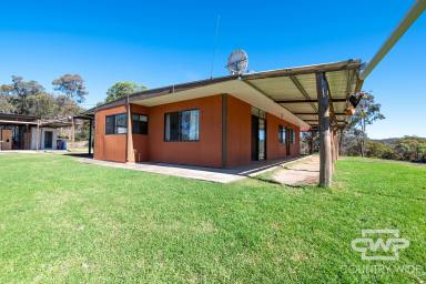 Lifestyle For Sale - NSW - Glen Innes - 2370 - “Allegedly” – Private Rural Retreat Between Glen Innes and Emmaville  (Image 2)