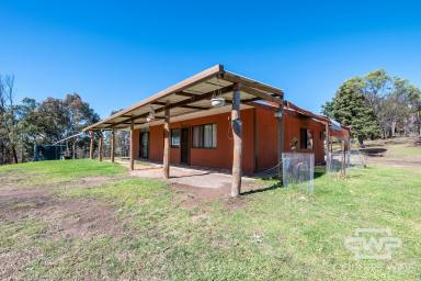 Lifestyle For Sale - NSW - Glen Innes - 2370 - “Allegedly” – Private Rural Retreat Between Glen Innes and Emmaville  (Image 2)