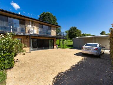 House For Sale - NSW - Bega - 2550 - RURAL LIVING IN THE HEART OF TOWN!  (Image 2)