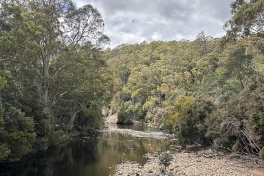 Lifestyle For Sale - TAS - Loongana - 7315 - WHERE THE RIVERS, MOUNTAINS & RAINFORESTS MEET
Lifestyle & Business Opportunity (Image 2)