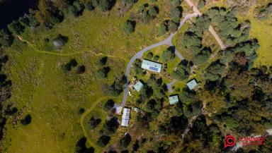 Lifestyle For Sale - TAS - Loongana - 7315 - WHERE THE RIVERS, MOUNTAINS & RAINFORESTS MEET
Lifestyle & Business Opportunity (Image 2)
