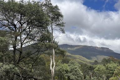 Lifestyle For Sale - TAS - Loongana - 7315 - WHERE THE RIVERS, MOUNTAINS & RAINFORESTS MEET
Lifestyle & Business Opportunity  (Image 2)