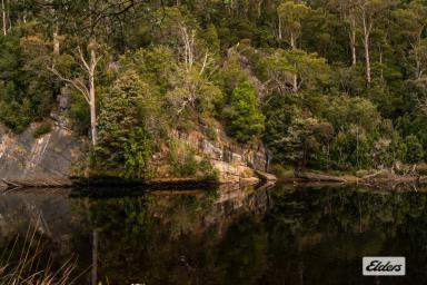 Lifestyle For Sale - TAS - Loongana - 7315 - WHERE THE RIVERS, MOUNTAINS & RAINFORESTS MEET
Lifestyle & Business Opportunity  (Image 2)