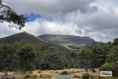 Hotel/Leisure For Sale - TAS - Loongana - 7315 - WHERE THE RIVERS, MOUNTAINS & RAINFORESTS MEET
Lifestyle & Business Opportunity  (Image 2)