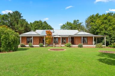 Lifestyle Auction - NSW - Goulburn - 2580 - Room To Breathe: Two Homes, Ten Hectares, Just Minutes From Town  (Image 2)