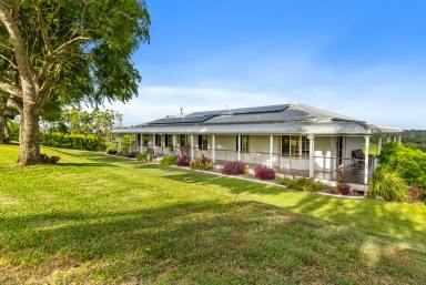 Acreage/Semi-rural For Sale - QLD - Chatsworth - 4570 - Queenslander Living on 4.86 Acres with Panoramic Views  (Image 2)
