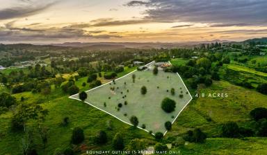 Acreage/Semi-rural For Sale - QLD - Chatsworth - 4570 - Queenslander Living on 4.86 Acres with Panoramic Views  (Image 2)