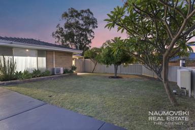 House For Sale - WA - Balcatta - 6021 - Stylishly Renovated Home on a Prime Corner Block!  (Image 2)