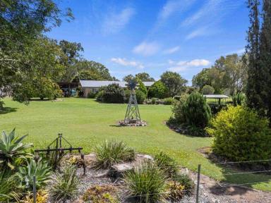 House For Sale - QLD - Southside - 4570 - Space, Sheds & Serenity - 5 Acres Only 5 Minutes from the CBD  (Image 2)