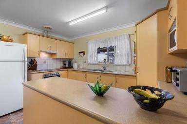 House For Sale - QLD - Southside - 4570 - Space, Sheds & Serenity - 5 Acres Only 5 Minutes from the CBD  (Image 2)