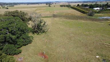 Livestock For Sale - NSW - Backmede - 2470 - 236 ACRES - BACKMEDE  (Image 2)