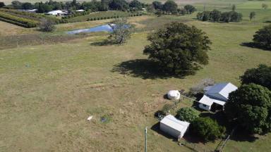 Livestock For Sale - NSW - Backmede - 2470 - 236 ACRES - BACKMEDE  (Image 2)