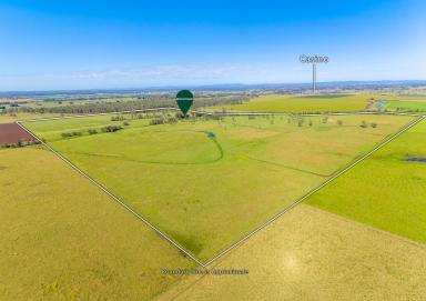 Mixed Farming For Sale - NSW - Irvington - 2470 - 207 ACRES - IRVINGTON  (Image 2)
