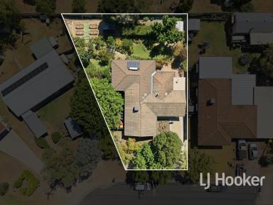 House For Sale - NSW - Inverell - 2360 - Lifestyle Living At Its Best  (Image 2)