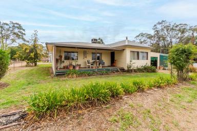 Lifestyle For Sale - NSW - Temora - 2666 - 113A; TOWN WATER; 2 DWELLINGS & SHEDS  (Image 2)