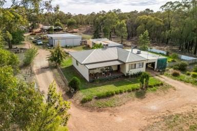Lifestyle For Sale - NSW - Temora - 2666 - 113A; TOWN WATER; 2 DWELLINGS & SHEDS  (Image 2)