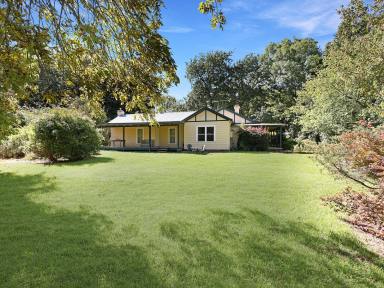 House For Sale - NSW - Exeter - 2579 - A Strategic Investment - Reimagined Workers Cottage & Vacant Lot  (Image 2)