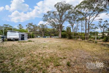 Residential Block For Sale - TAS - Greens Beach - 7270 - Wake Up Near the Waves – Secure Your Own Coastal Block  (Image 2)