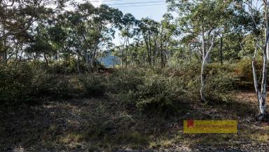 Residential Block For Sale - NSW - Charbon - 2848 - SECURE YOUR NEXT BLOCK TODAY  (Image 2)