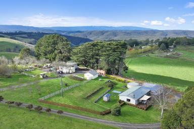 House For Sale - VIC - Neerim East - 3831 - Wonderful 5 Acres - Lifestyle Property (Image 2)