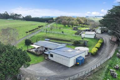 House For Sale - VIC - Neerim East - 3831 - Wonderful 5 Acres - Lifestyle Property (Image 2)
