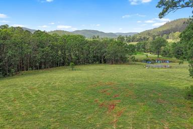Other (Rural) For Sale - NSW - Booral - 2425 - Allworth Affordable Acres!  40Ha | 98.8 Acres of Rural Lifestyle Opportunity  (Image 2)