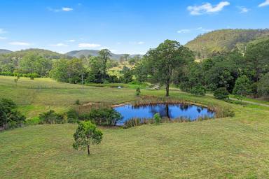 Other (Rural) For Sale - NSW - Booral - 2425 - Allworth Affordable Acres!  40Ha | 98.8 Acres of Rural Lifestyle Opportunity  (Image 2)