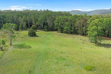 Other (Rural) For Sale - NSW - Booral - 2425 - Allworth Affordable Acres!  40Ha | 98.8 Acres of Rural Lifestyle Opportunity  (Image 2)