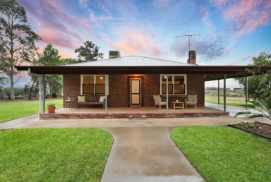 House For Sale - VIC - Irymple - 3498 - The Perfect Blend Of Character And Space  (Image 2)