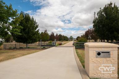 Lifestyle For Sale - NSW - Glen Innes - 2370 - Premium Lifestyle Estate  (Image 2)