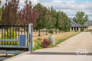 Lifestyle For Sale - NSW - Glen Innes - 2370 - Premium Lifestyle Estate  (Image 2)