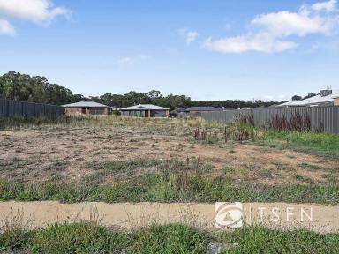 Residential Block For Sale - VIC - Campbells Creek - 3451 - Your Dream Awaits 598m2 Land in Campbell Creek  (Image 2)