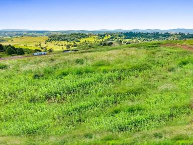 Residential Block For Sale - NSW - Goonellabah - 2480 - Subdivide and Conquer!  (Image 2)