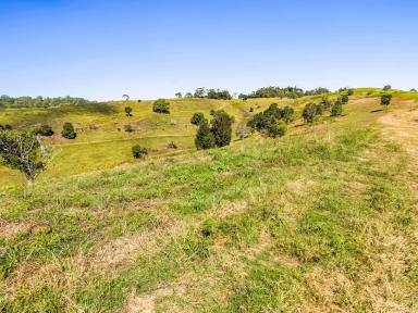 Residential Block For Sale - NSW - Goonellabah - 2480 - 5 Acres on the Plateau  (Image 2)