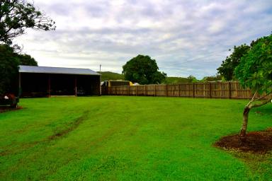 Residential Block For Sale - QLD - Calen - 4798 - Serviced Block With Established Shed  (Image 2)