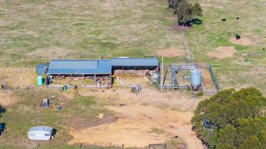 Mixed Farming For Sale - VIC - Tinamba - 3859 - Fantastic Rural Property, Ready To Build Your Dream Home ( STCA )  (Image 2)