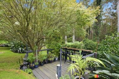 House For Sale - NSW - Long Beach - 2536 - BUSH AND BEACH  (Image 2)