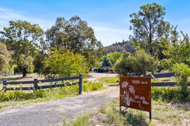 Lifestyle For Sale - NSW - Mudgee - 2850 - 'HILLVIEW' - WHERE THE WILD ORCHIDS GROW  (Image 2)