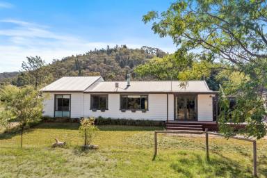 Lifestyle For Sale - NSW - Mudgee - 2850 - 'HILLVIEW' - WHERE THE WILD ORCHIDS GROW  (Image 2)