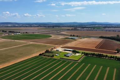 Mixed Farming For Sale - NSW - Cowra - 2794 - HIGHLY DEVELOPED IRRIGATION FARM!  BUY in part or as a whole  (Image 2)