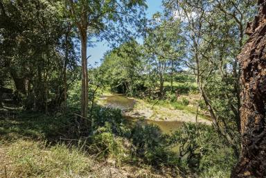 House For Sale - NSW - Fosterton - 2420 - Where the River Meets Home - A Peaceful Country Escape  (Image 2)