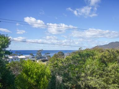 House For Sale - TAS - Bicheno - 7215 - Position, Privacy, Potential  (Image 2)