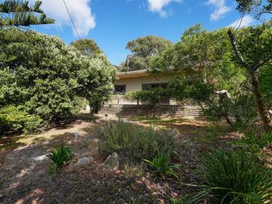 House For Sale - TAS - Bicheno - 7215 - Position, Privacy, Potential  (Image 2)