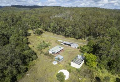 Lifestyle For Sale - NSW - Coutts Crossing - 2460 - LIFESTYLE HOLDING WITH LOADS OF POTENTIAL  (Image 2)