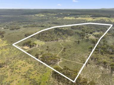 Lifestyle For Sale - VIC - Hilldene - 3660 - Escape to Tranquility in Hilldene  (Image 2)