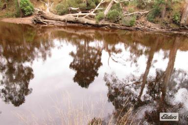 Other (Rural) For Sale - TAS - North Motton - 7315 - UNIQUE BUSH BLOCK - 5.4844 HECTARES (13.5 acres)  (Image 2)