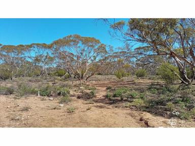 Acreage/Semi-rural For Sale - SA - Fisher - 5354 - Near river bushland retreat  (Image 2)